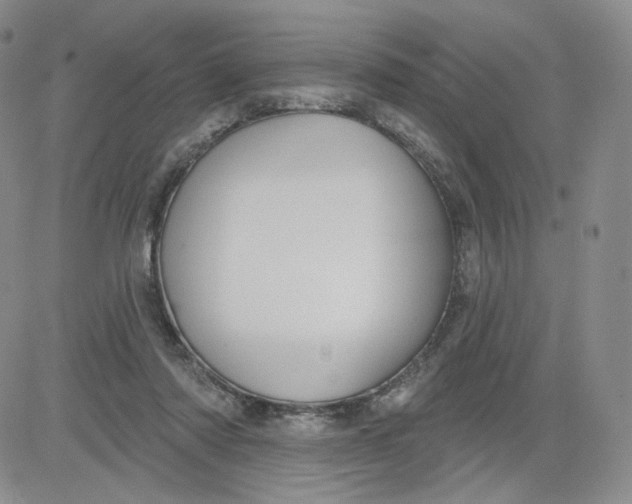 X0000080770310200701021129