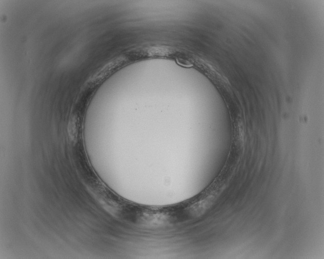 X0000080770311200701021129