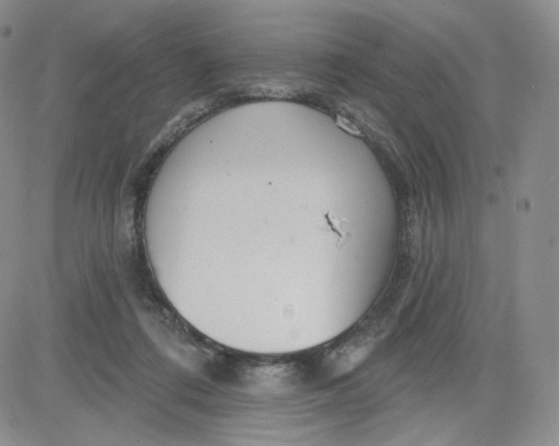 X0000080770312200701021129