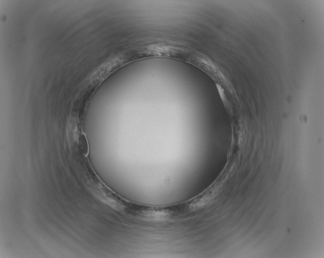 X0000080770313200701021129