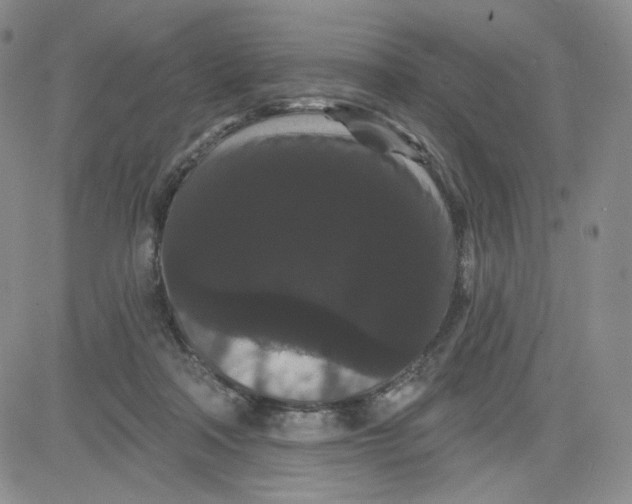 X0000080770314200701021129