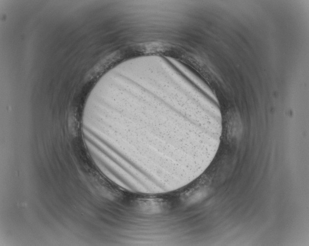 X0000080770316200701021129