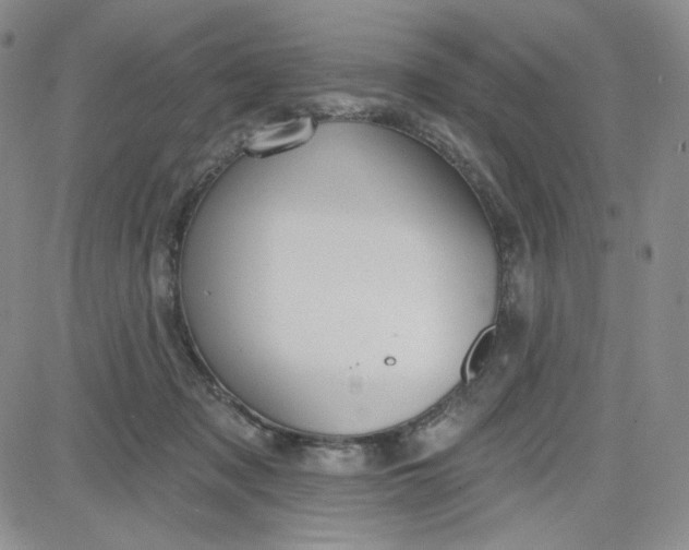 X0000080770317200701021129