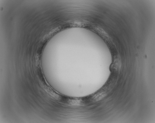 X0000080770318200701021129