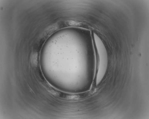 X0000080770319200701021129