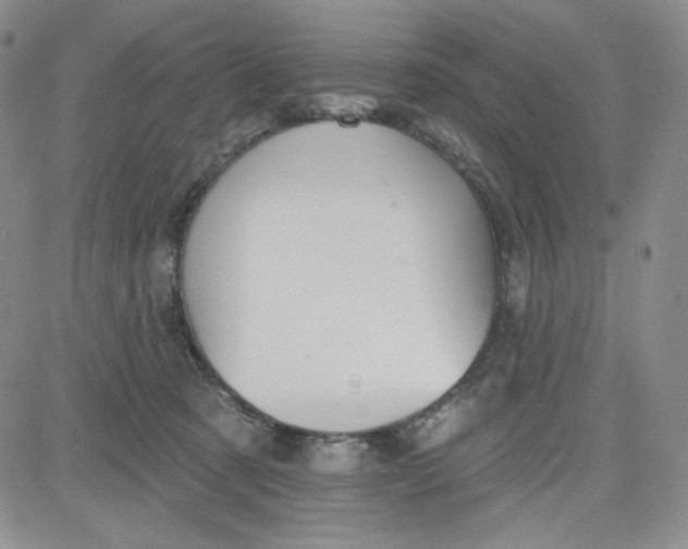 X0000080770321200701021129