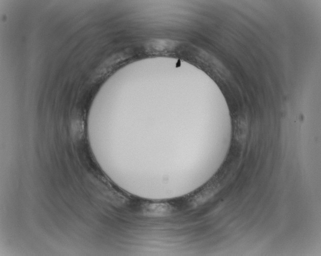 X0000080770324200701021128