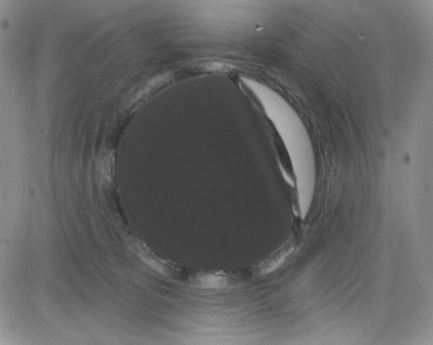 X0000080770325200701021128