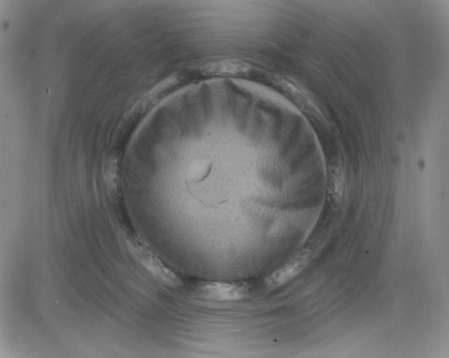 X0000080770326200701021128