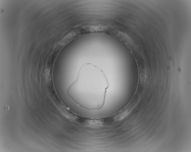 X0000080770327200701021128