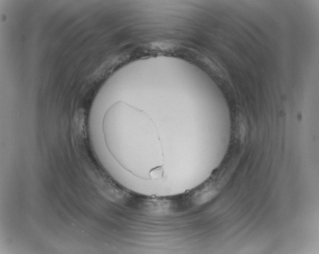 X0000080770328200701021128