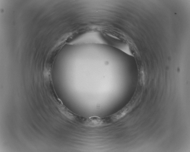 X0000080770329200701021128