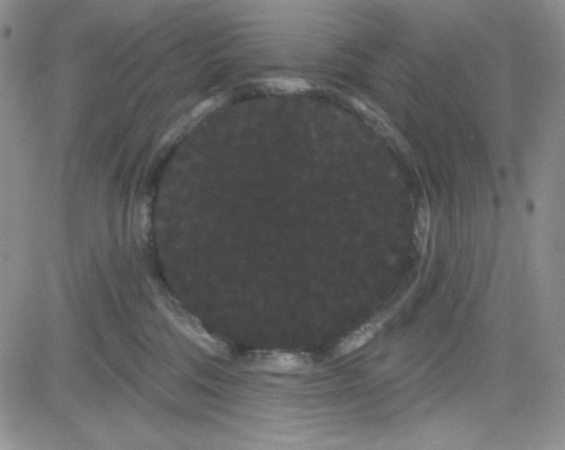 X0000080770330200701021128