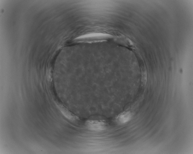 X0000080770331200701021128