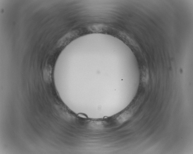 X0000080770332200701021128