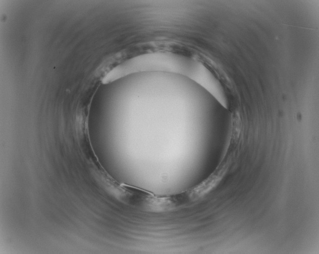 X0000080770333200701021128