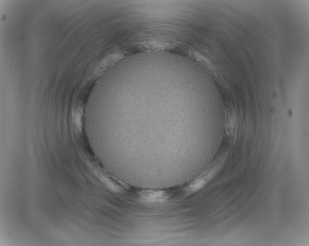 X0000080770334200701021128