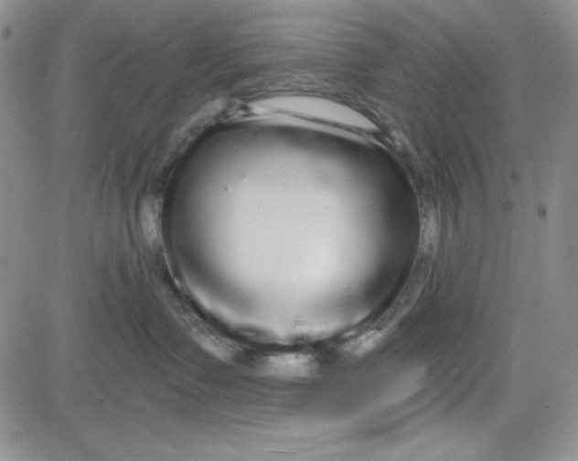 X0000080770335200701021128