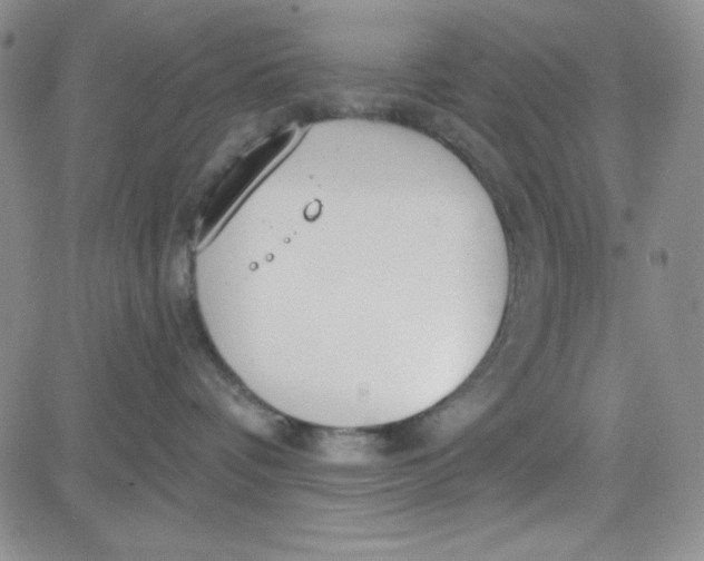 X0000080770336200701021128