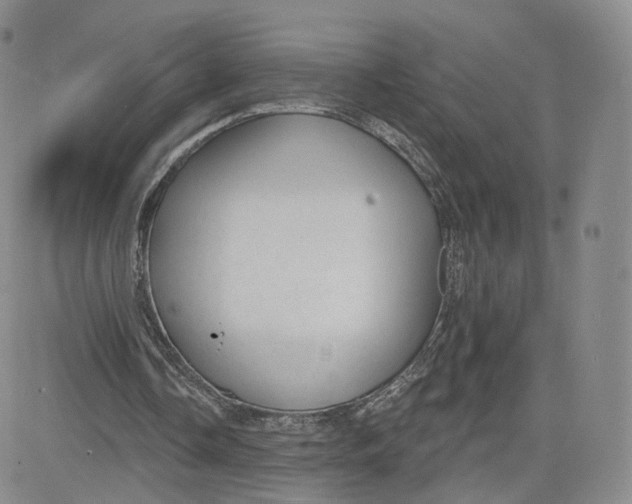 X0000080770338200701021127