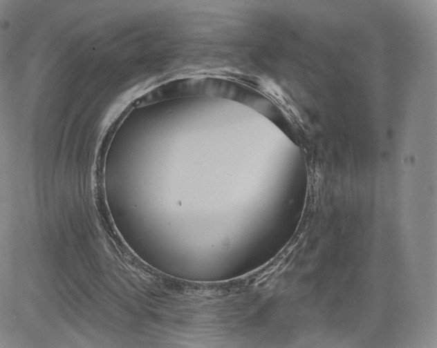 X0000080770340200701021128