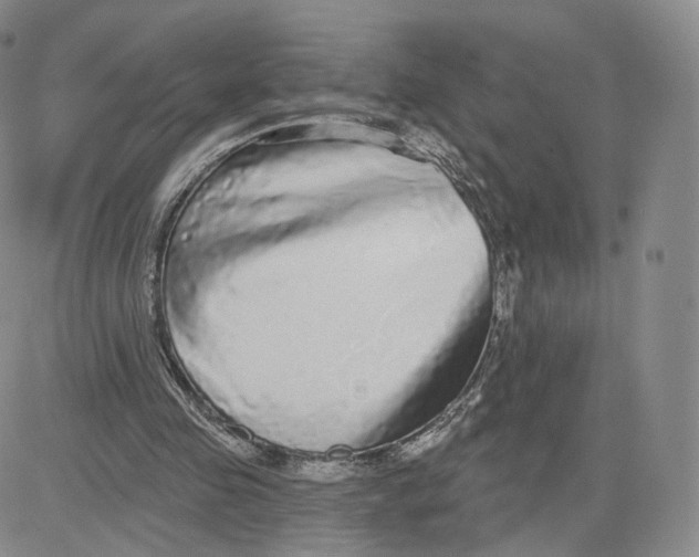 X0000080770341200701021128