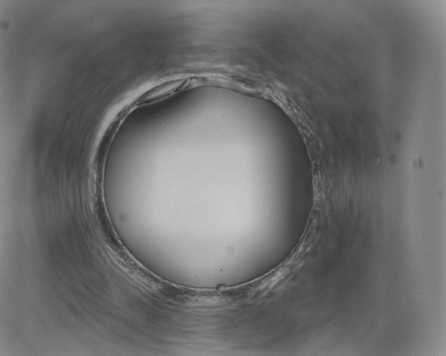 X0000080770342200701021128