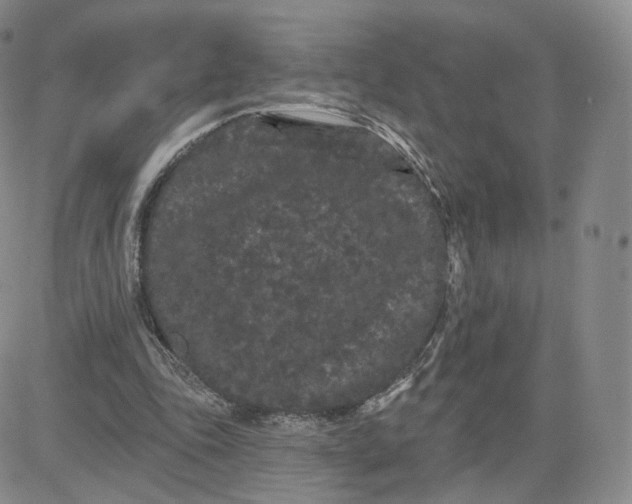 X0000080770343200701021128