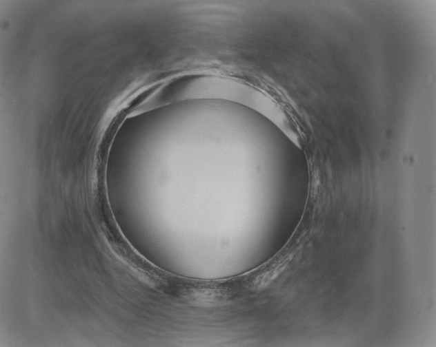 X0000080770344200701021128