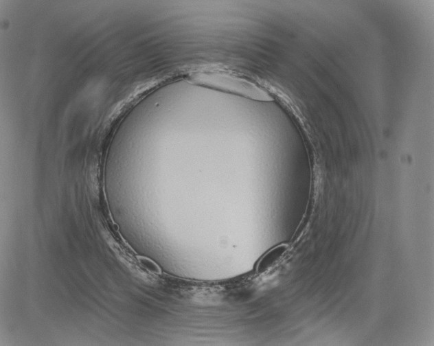 X0000080770345200701021128