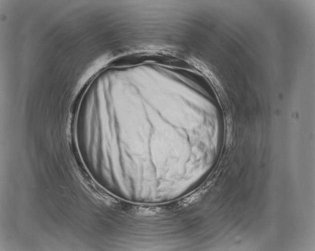 X0000080770346200701021128