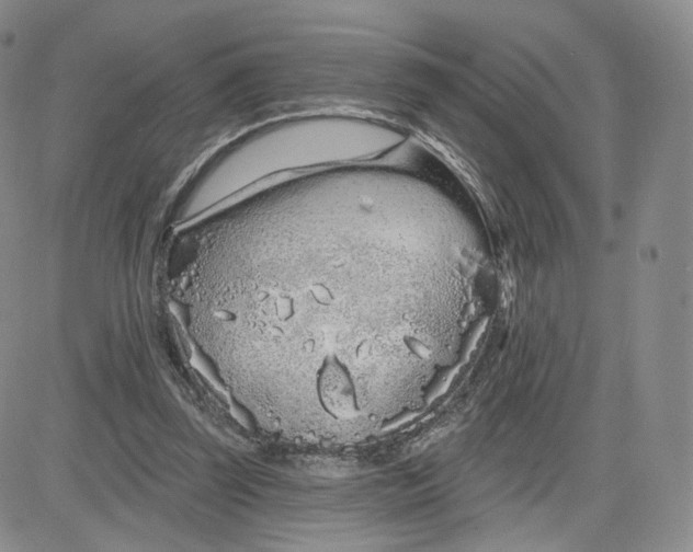 X0000080770347200701021128