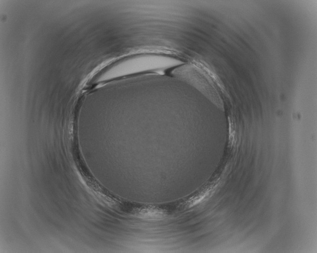 X0000080770348200701021128