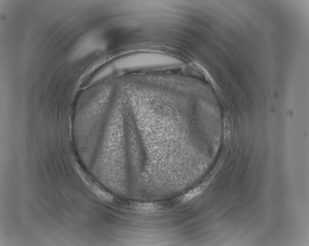 X0000080770349200701021128