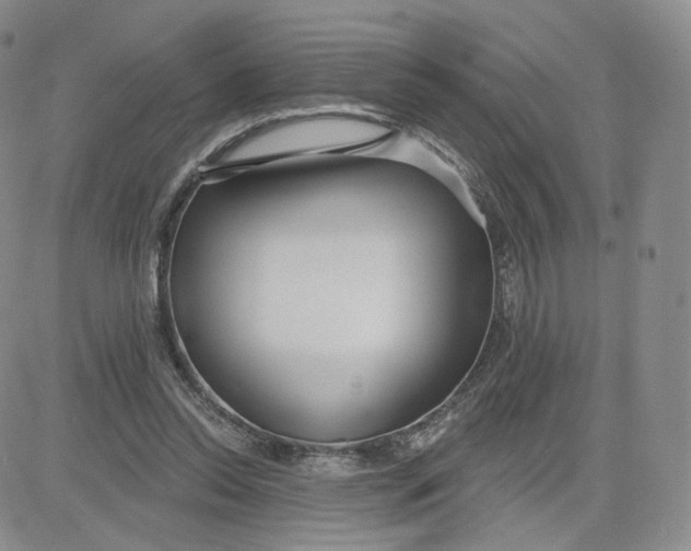 X0000080770350200701021128