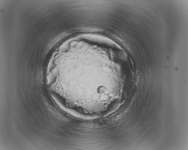 X0000080770351200701021128