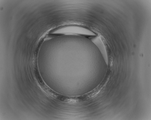 X0000080770352200701021128