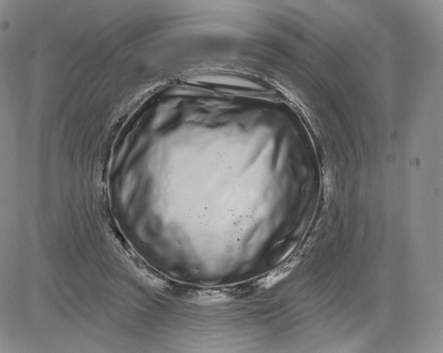 X0000080770353200701021128