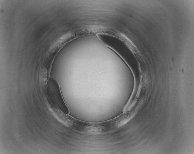 X0000080770356200701021128