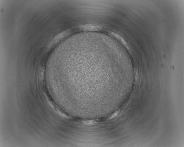 X0000080770357200701021128