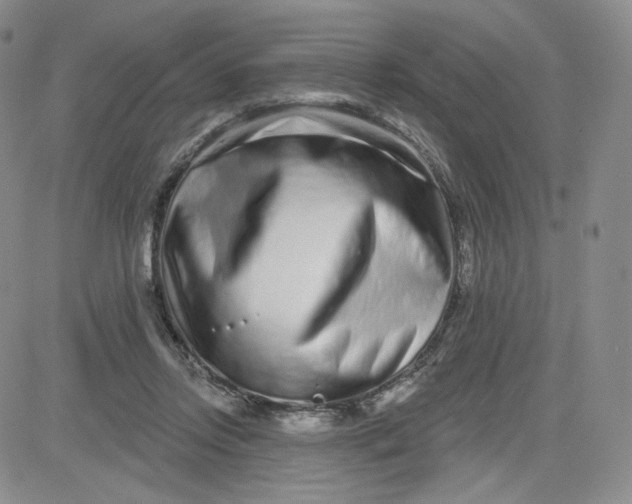 X0000080770358200701021128