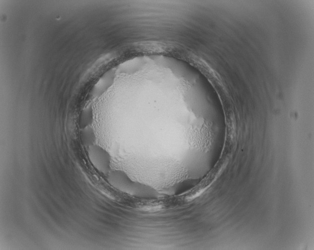 X0000080770359200701021128