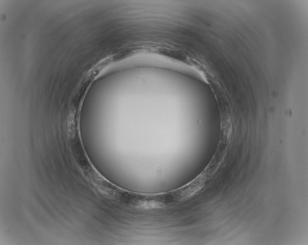 X0000080770360200701021128