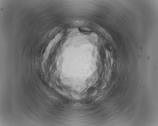 X0000080770361200701021128