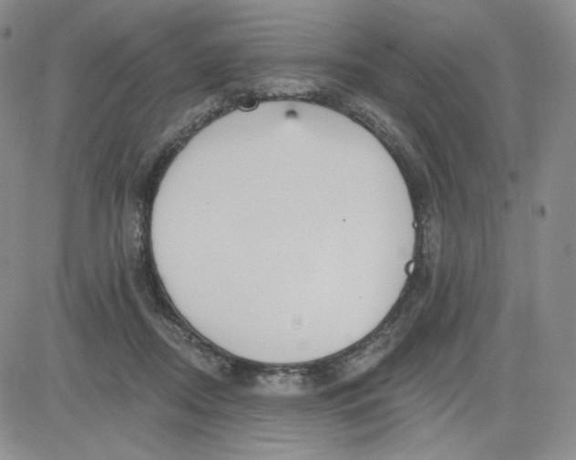 X0000080770362200701021128