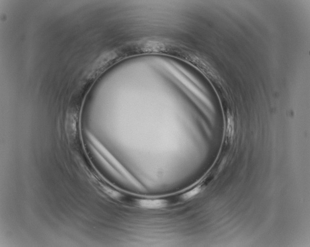 X0000080770363200701021128