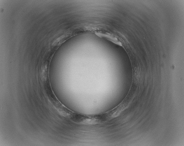 X0000080770364200701021128