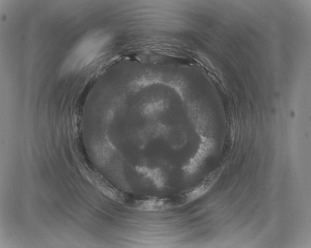 X0000080770366200701021128