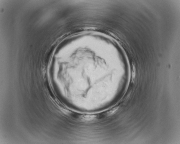 X0000080770367200701021128