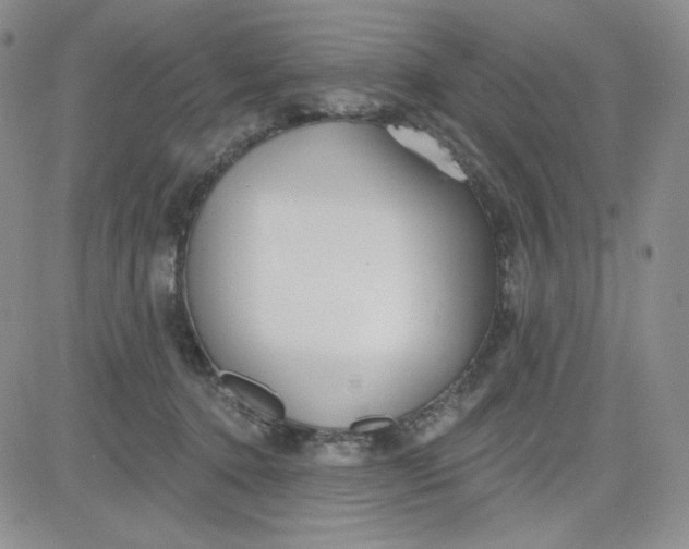 X0000080770368200701021128